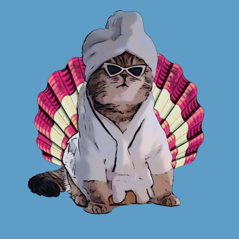chat cool dans le spa