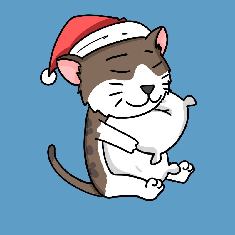 Chat Mignon Chat Birman Fatigué Noël