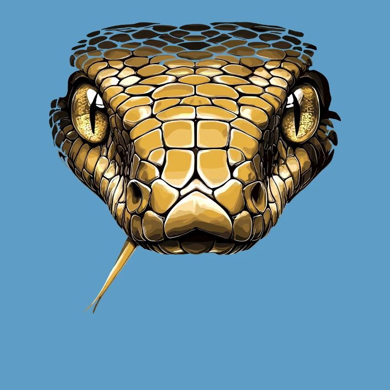 Schlange Python Kobra Mamba Klapperschlange Snake