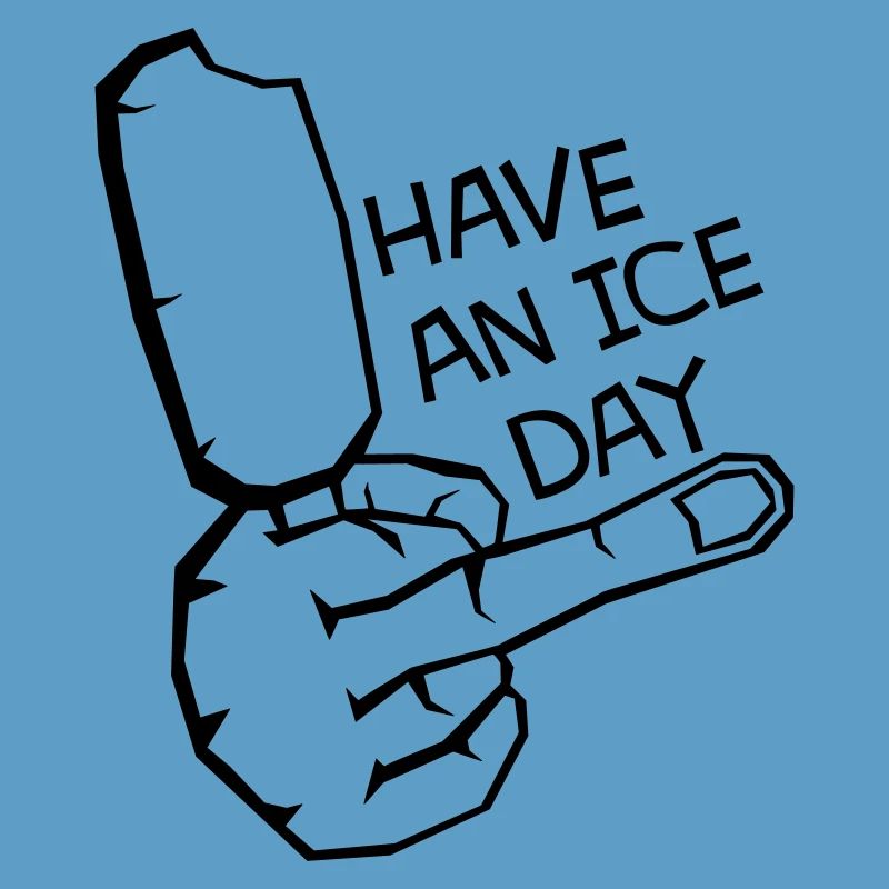 HAV E NICE DAY