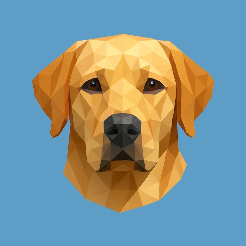 Polygon Labrador Retriever Gift