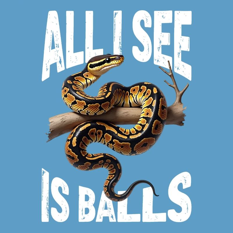 Python roi Serpents Amateurs de terrarium Python