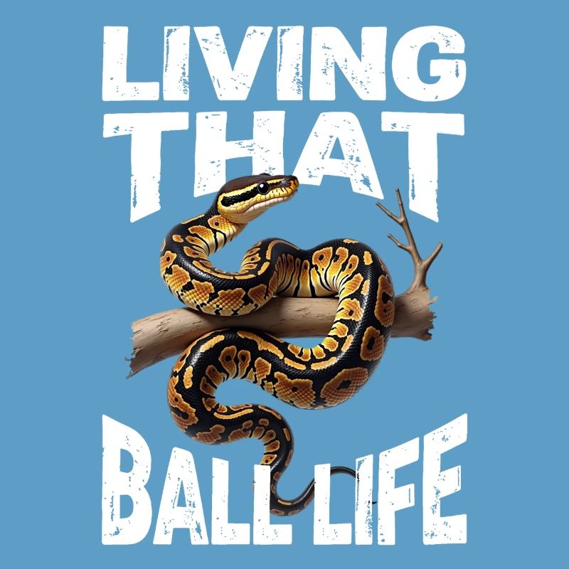 Königspython Schlangen Liebhaber Terrarium Python