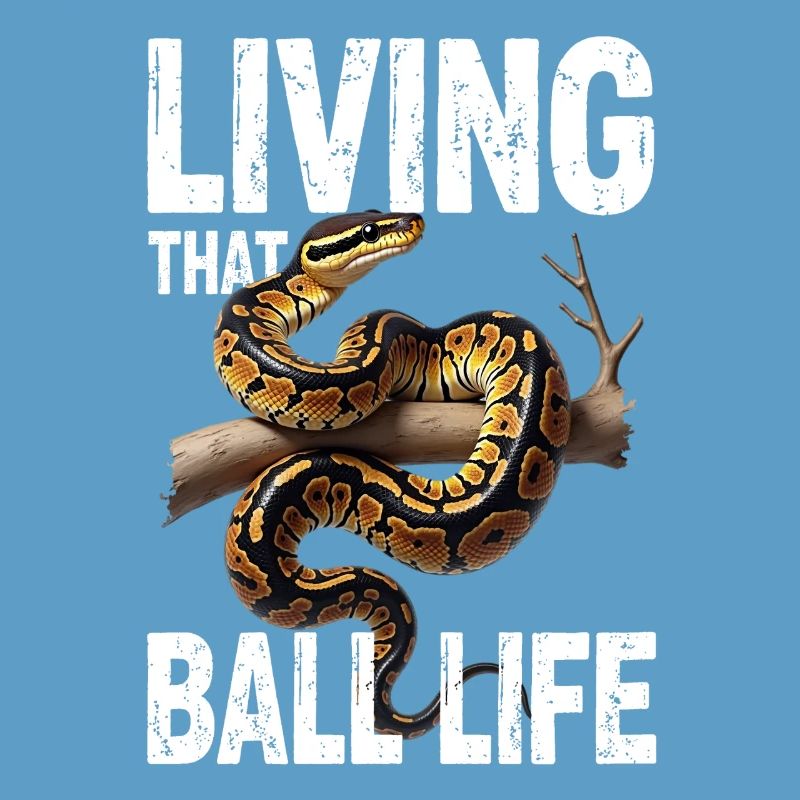 Königspython Schlangen Liebhaber Terrarium Python