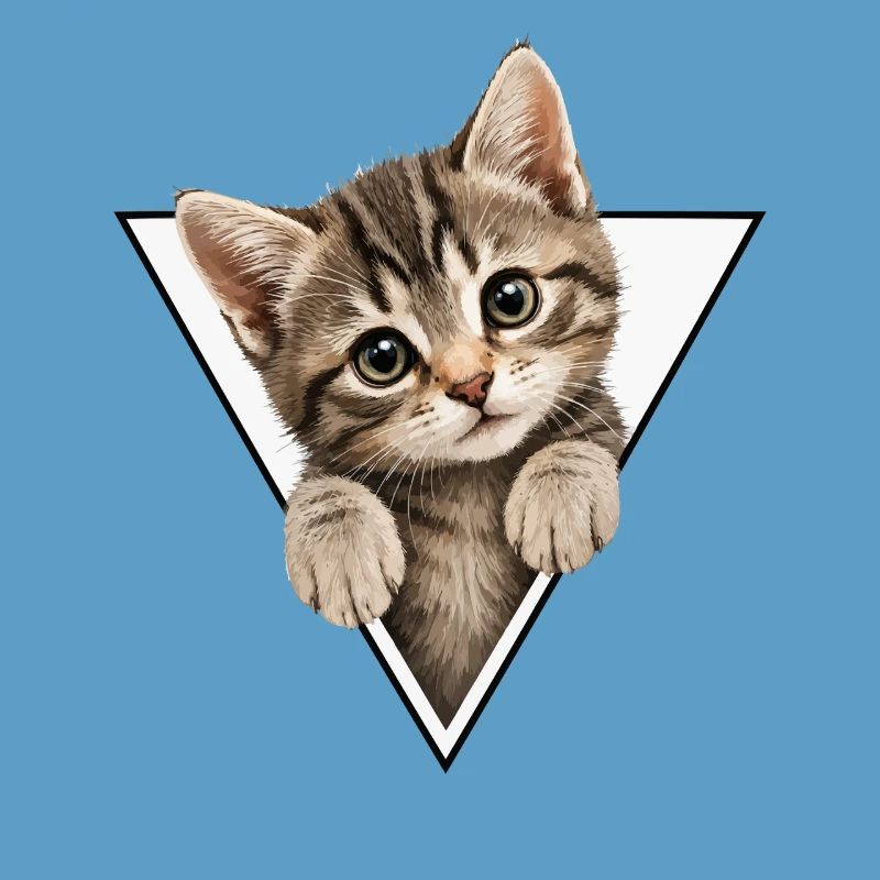 Kitten in the triangle
