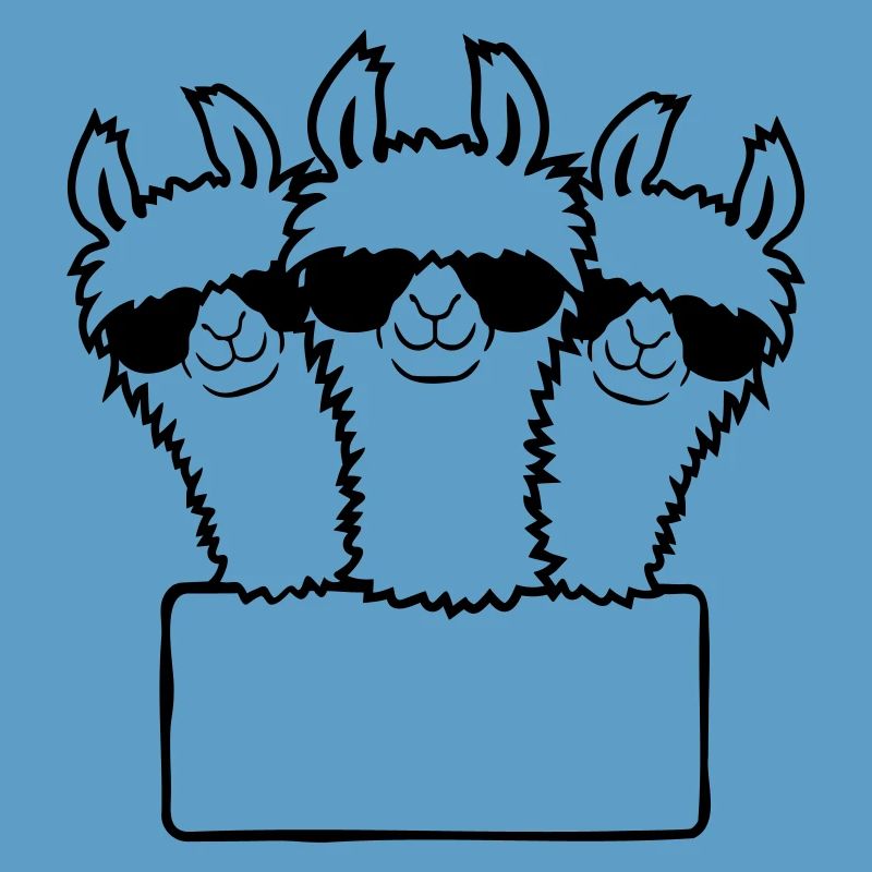 Bouclier vide de l’équipe Lamas