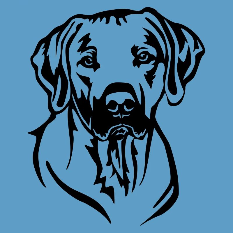 Rhodesian Ridgeback Kopf