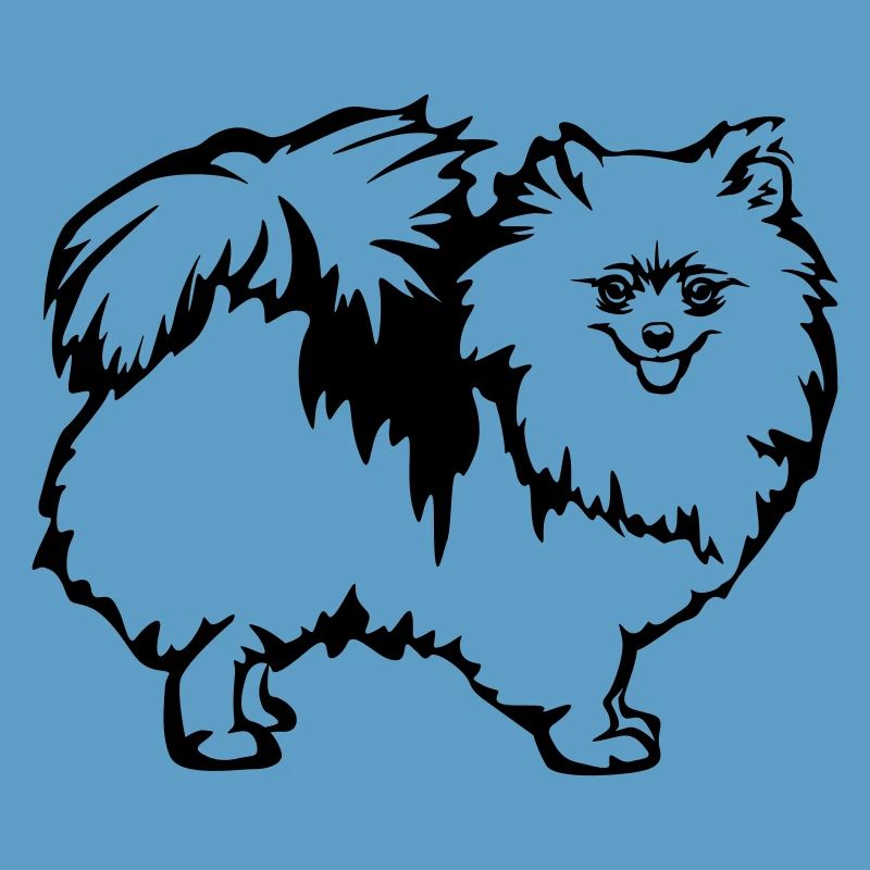 Zwergspitz