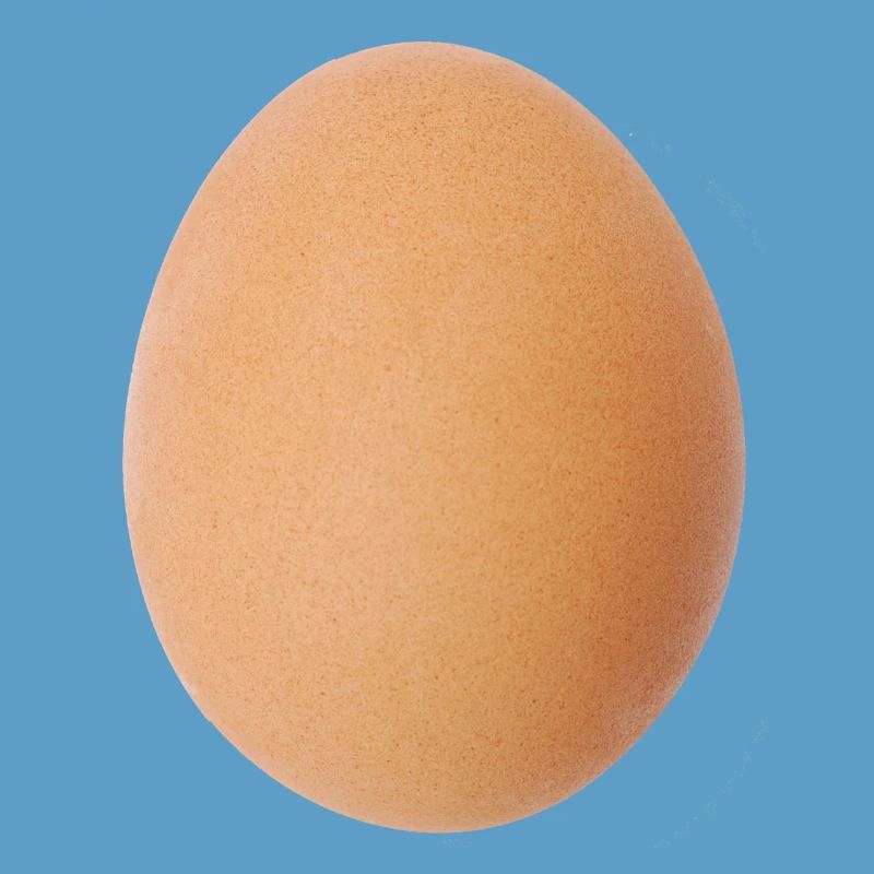 Egg Brown Pattern Nature Motif