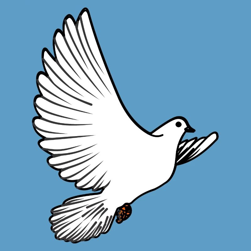 Weiße Taubenbrieftaube Ziertaube oder Friedenstaube