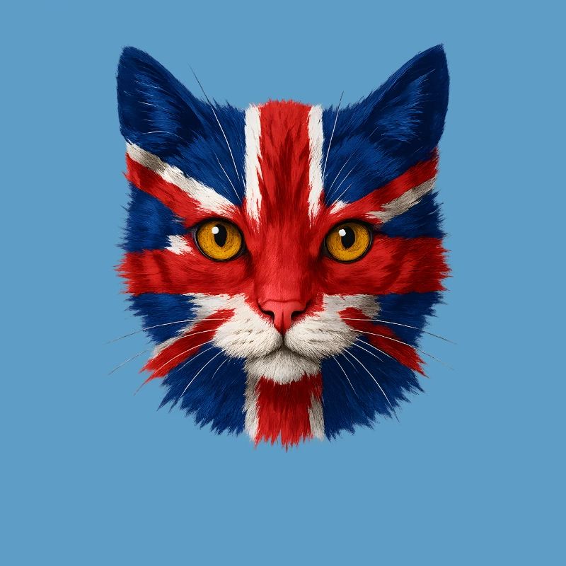 Union Jack Cat Portrait