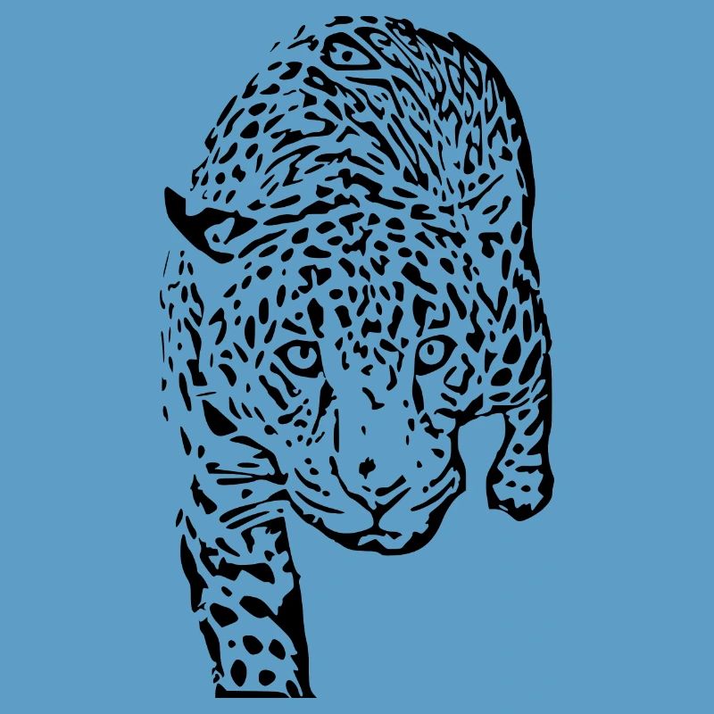 leopard schwarz schwarzer Leopard