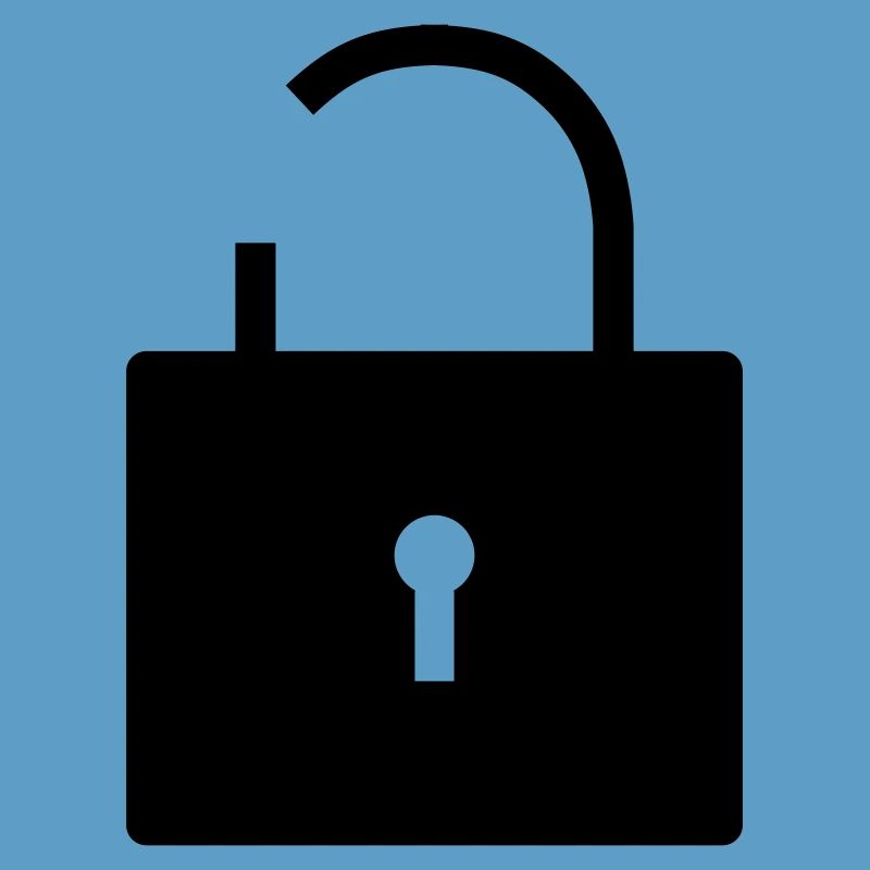 No security no security open lock lock