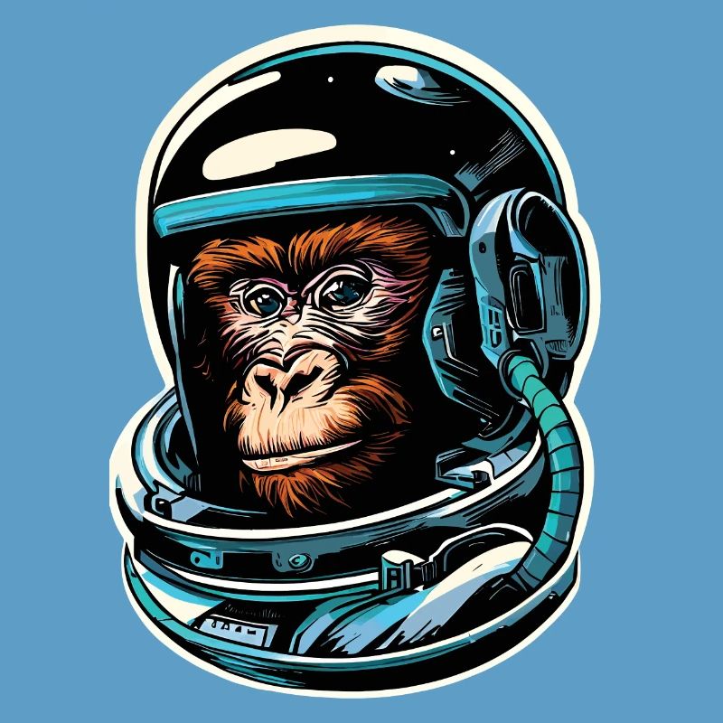 Space Monkey