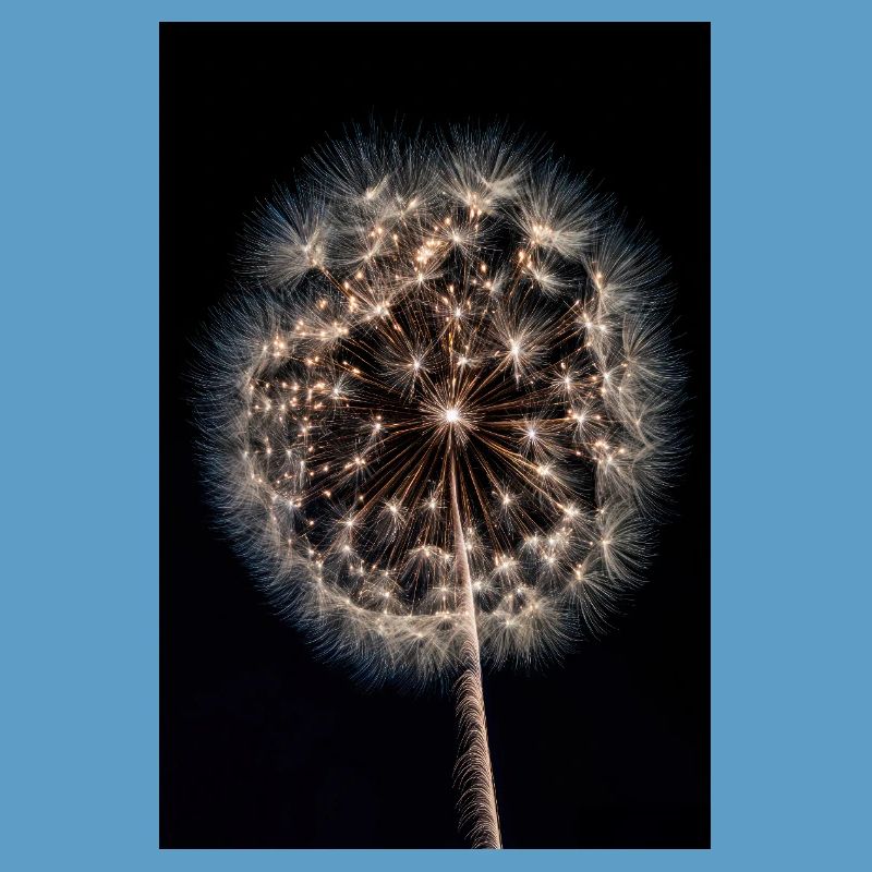 Luminous Dandelion Firework