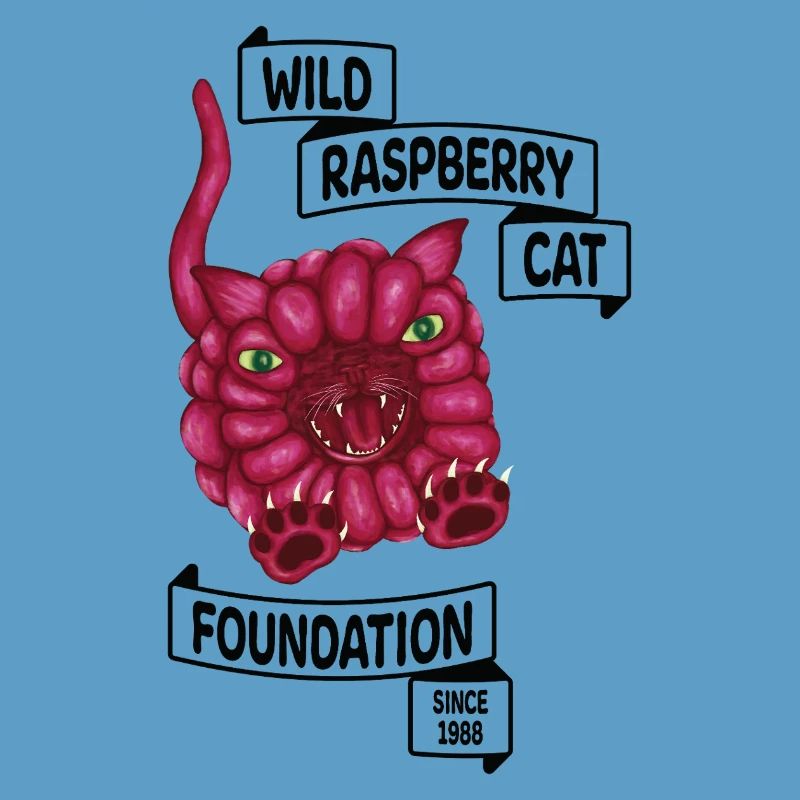 Raspberry le chat