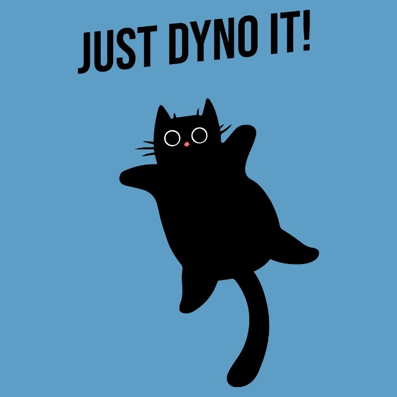 Cat climbs dynamically climbing route Dyno boulder