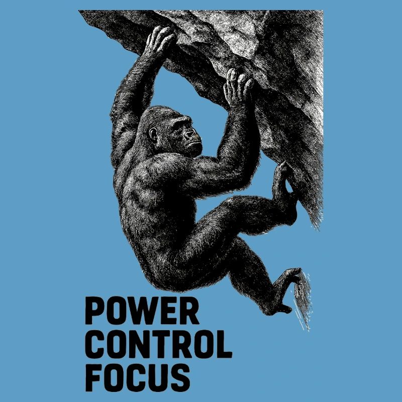 Gorilla Bouldering: Power Control Focus Design