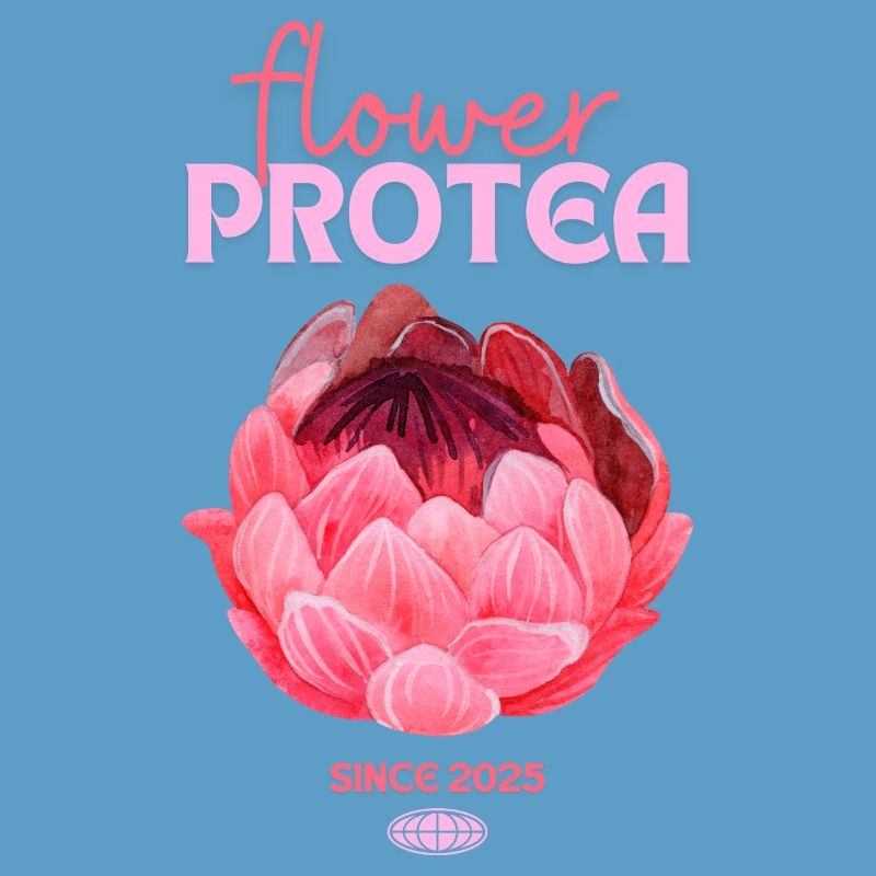 Protea Protea Fleur Proteas Fleurs roses