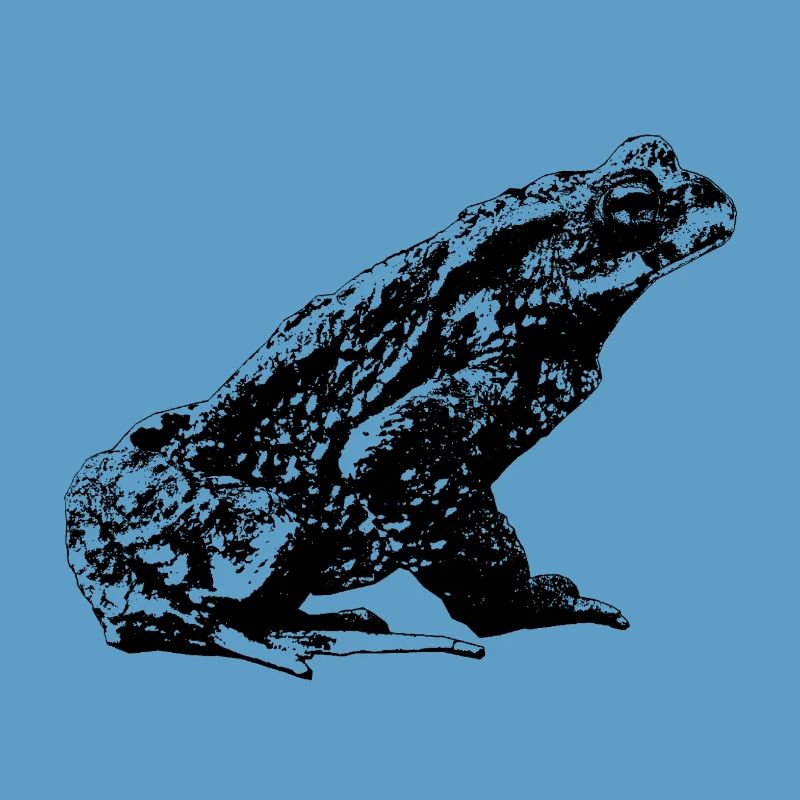 Crapaud / Bufo Bufo / Graphique