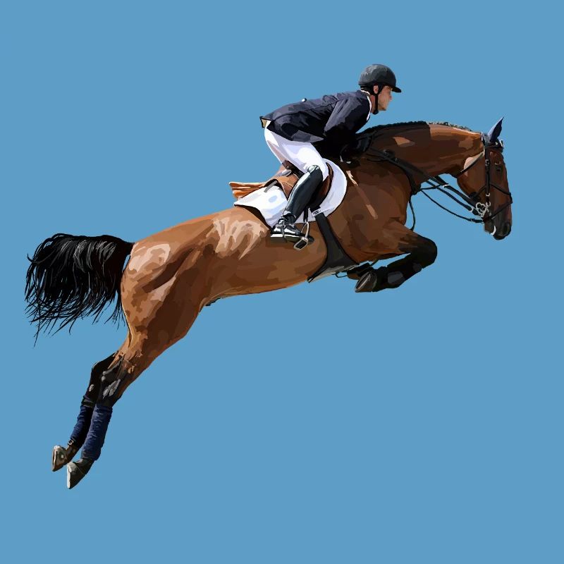 Springendes Pferd im Sprung