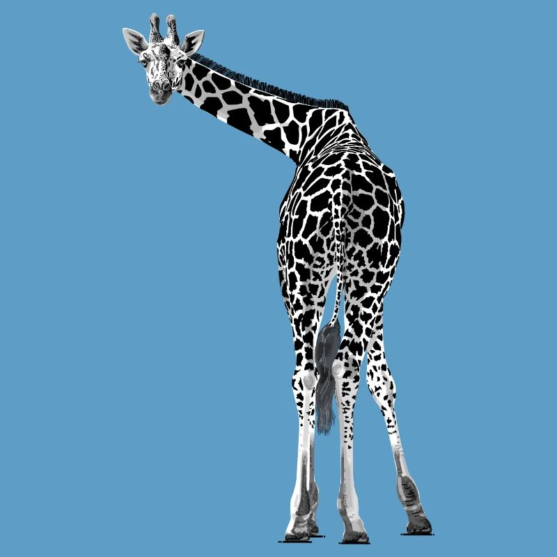 Giraffe greets friendly