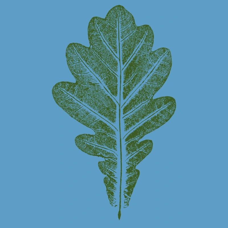 Blatt Eiche - Eichenblatt / Natur & Wald Design