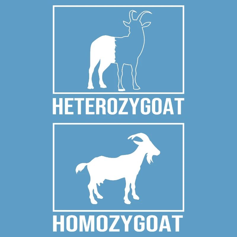Molecule Structural Formula