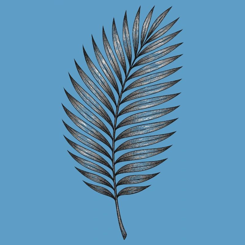 Black palm leaf pattern
