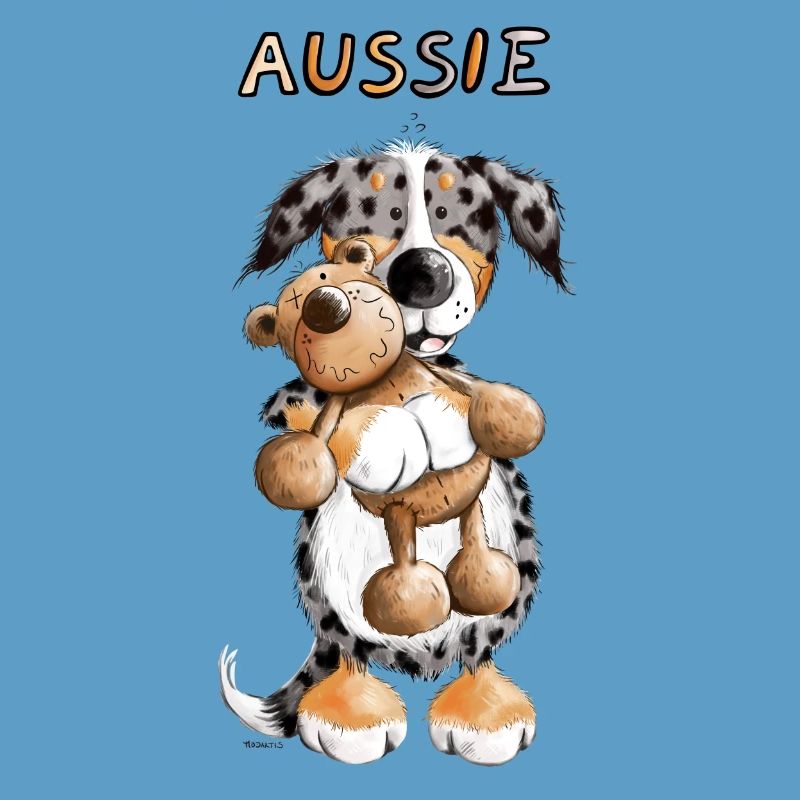 Aussie mit Teddy