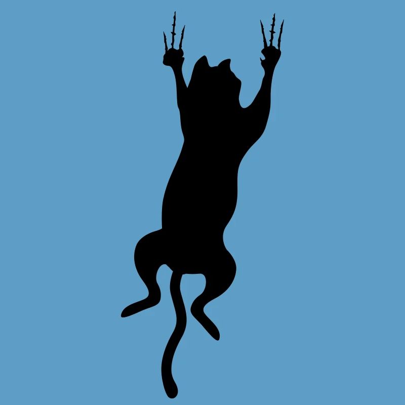 cat scratch