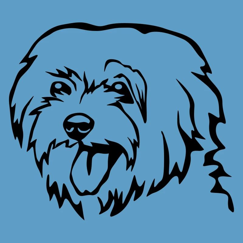 Maltese head