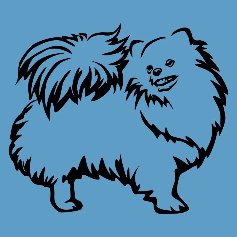 Spitz nain
