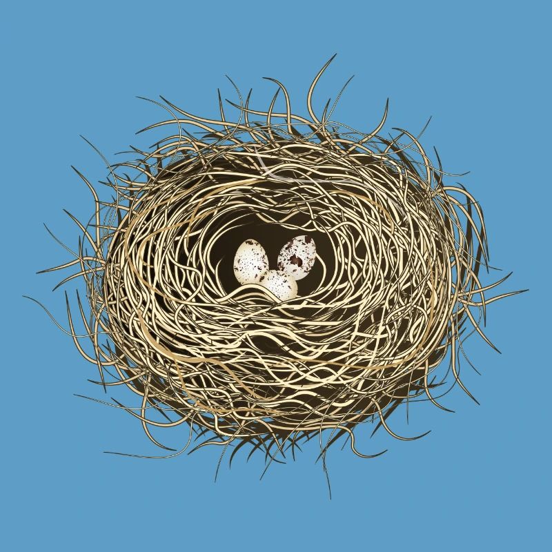 Bird's Nest or Easter Basket with Three Bird Eggs