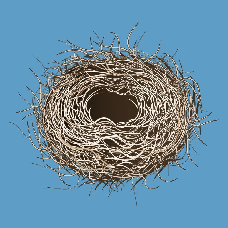 leeres Vogelnest oder Osternest zum Frühling
