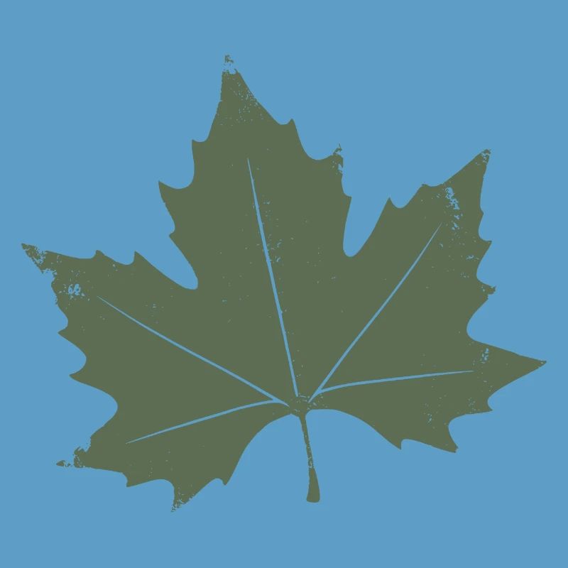 Feuille d’érable verte