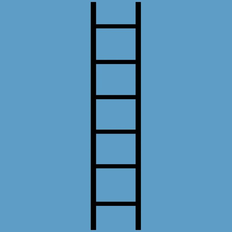 Ladder - Everyone needs a ladder