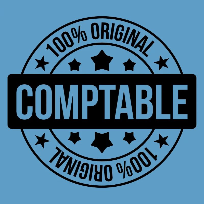 comptable / comptabilité / argent / Finance / Euro