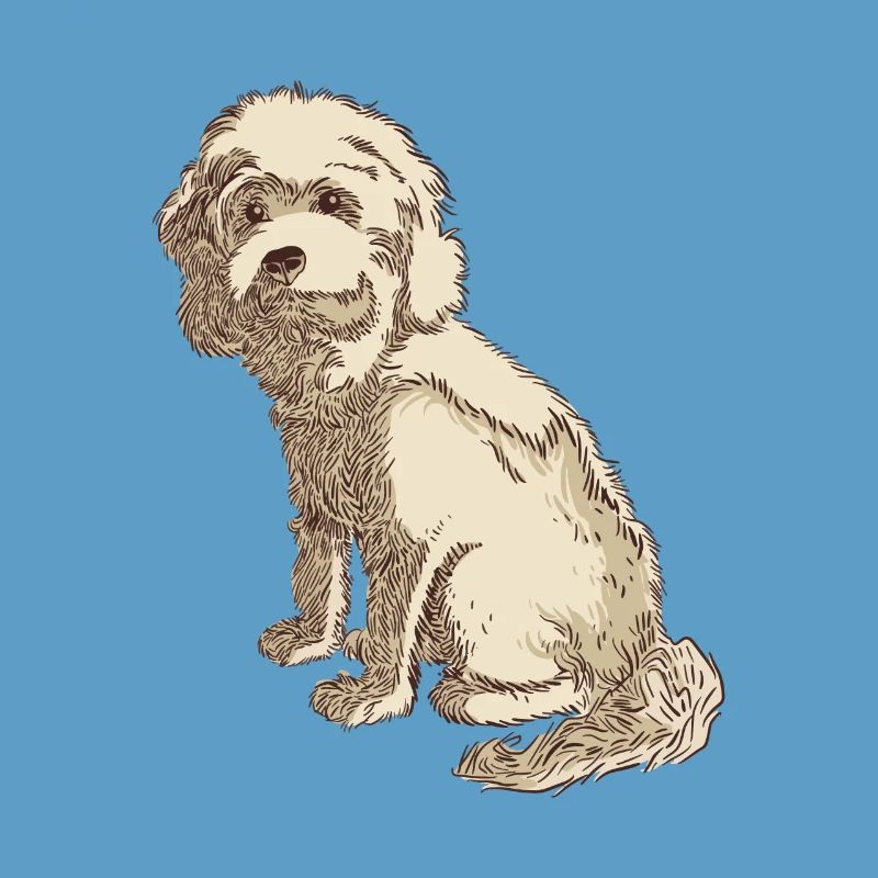 Cockapoo dog drawing of a cockapoo