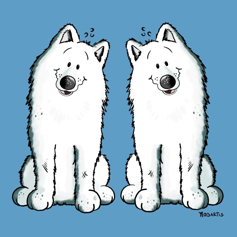 Samoyed Team - Samoyède