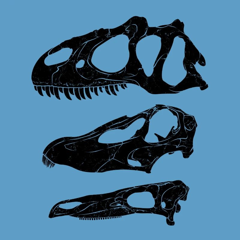 Allosaurus Diplodocus Stegosaurus