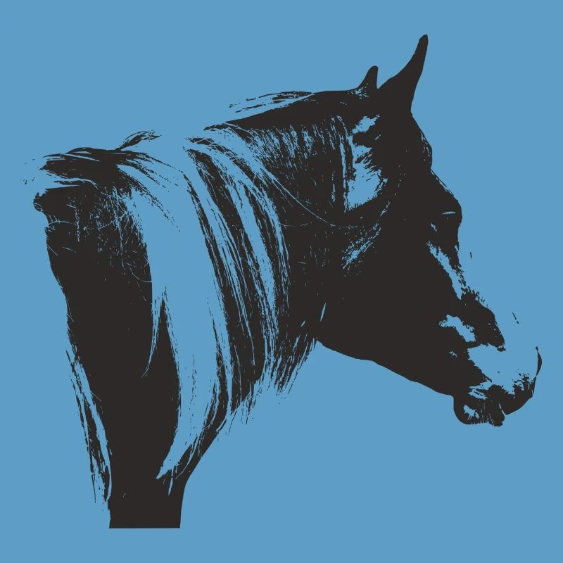 Lewitzer Schecke, Pferd Schecke, Pinto