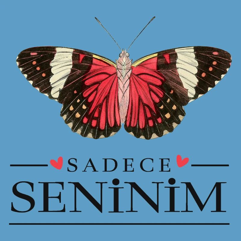 Conception créative de papillons – Sadece Seninim