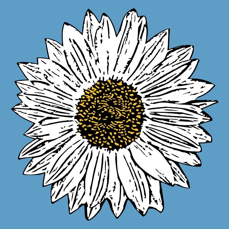 Blume weiß weiße Blumen Geschenk Muttertag Mutter