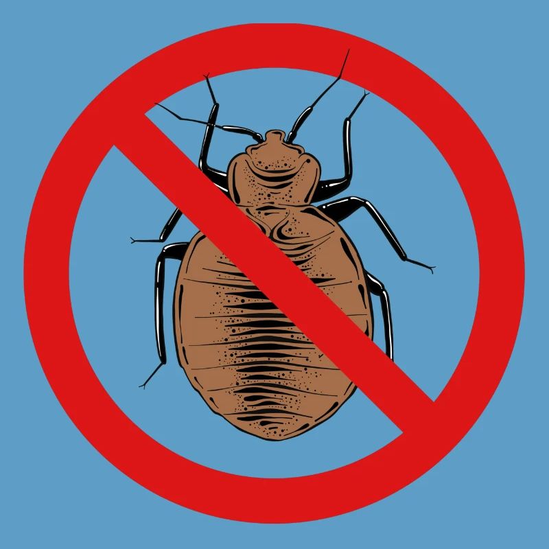 bed bug, bed bug