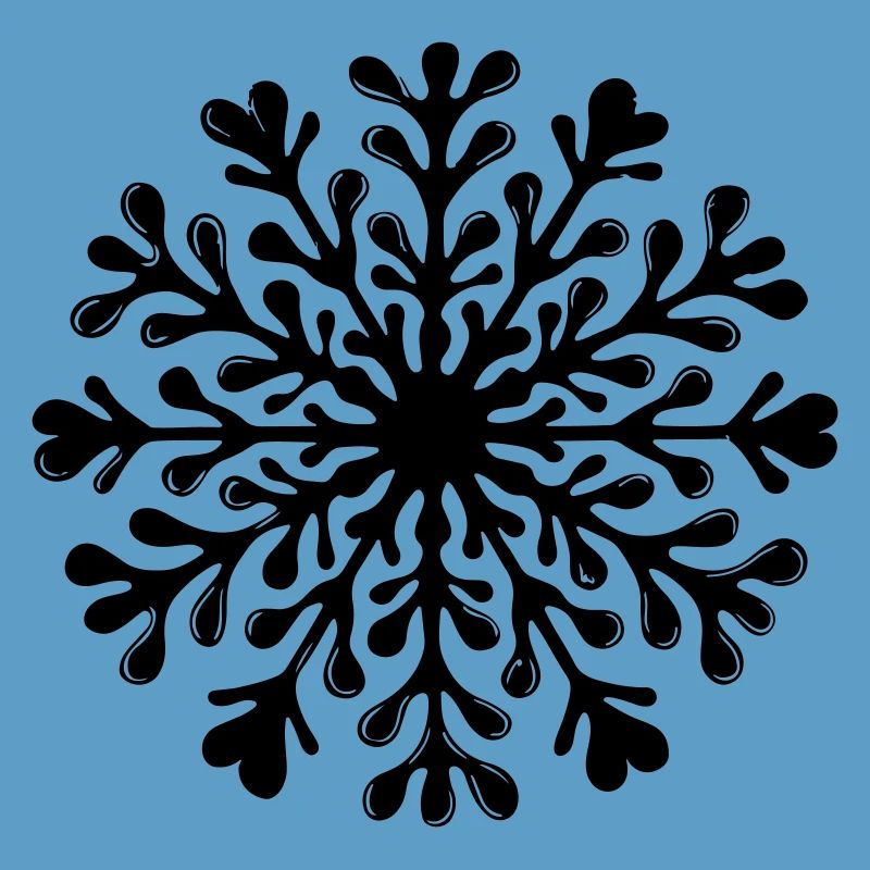 Snowflake Winter Icon