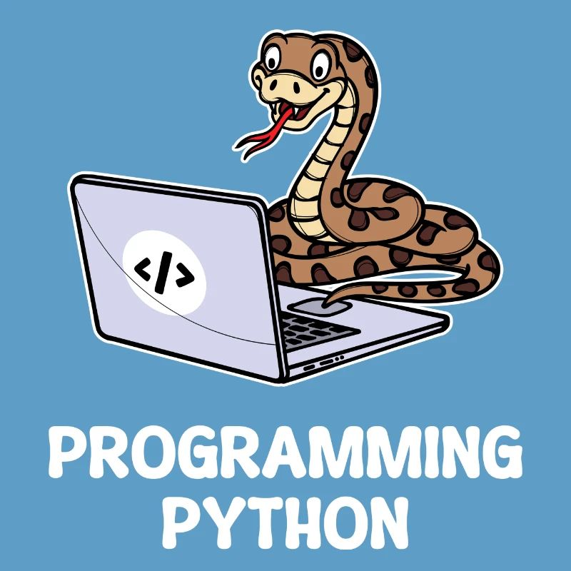 Programmeur de scripts, Développeur de débogage informatique