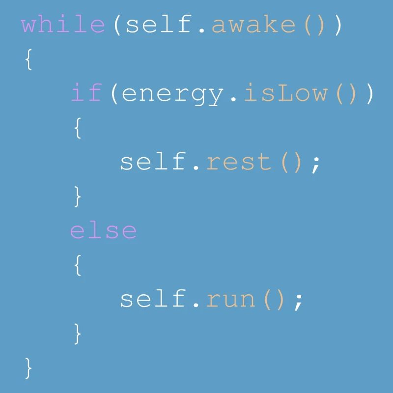 Informatiker Nerd Geschenk für Programmierer IT