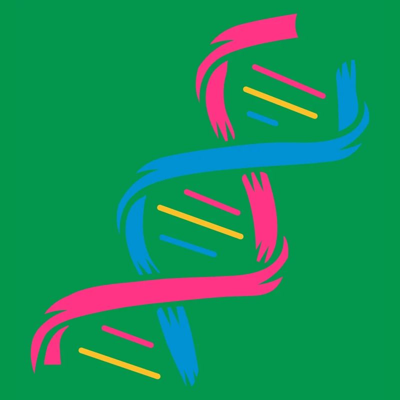 La structure d'une molécule d'ADN