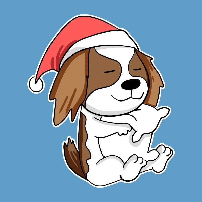 Cavalier King Charles Spaniel Hund Tier